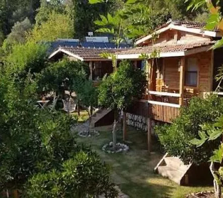 Baykus