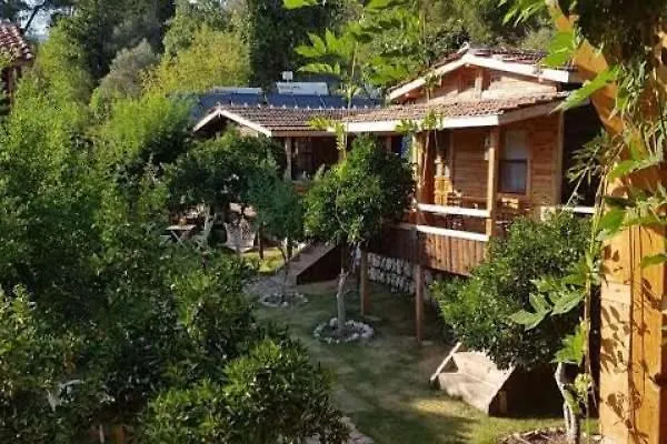 Baykus