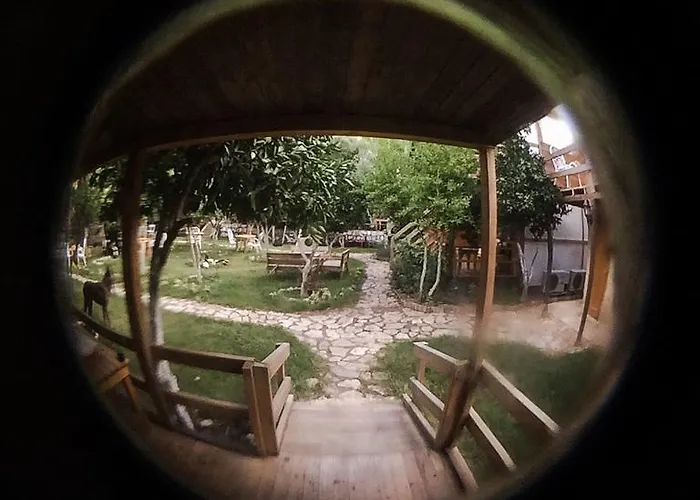 Baykus Олимпос