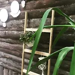 Baykus Bed & Breakfast