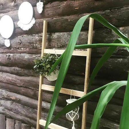 Baykus Alojamento de Acomodação e Pequeno-almoço