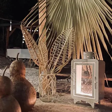 Alojamento de Acomodação e Pequeno-almoço Baykus *