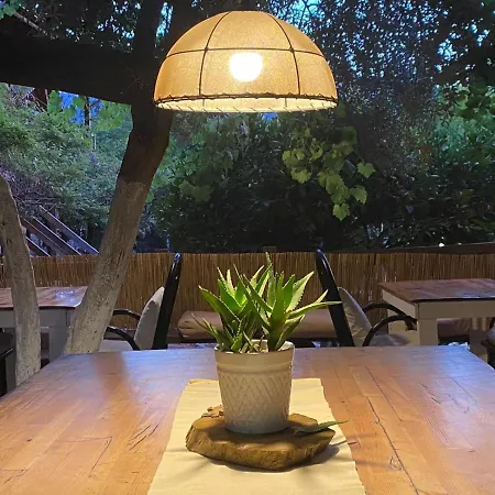 Bed & Breakfast Baykus