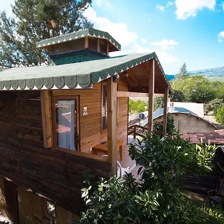 Baykus Olympos