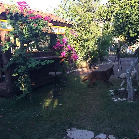 Alojamento de Acomodação e Pequeno-almoço Baykus Olympos