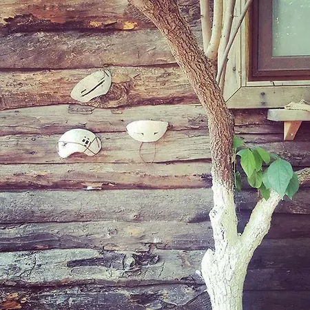 Alojamento de Acomodação e Pequeno-almoço Baykus Olympos