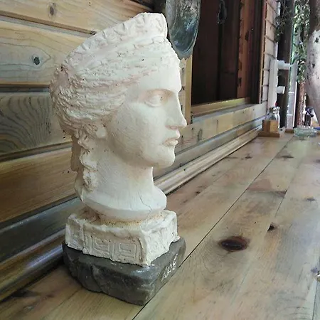 Baykus Olympos