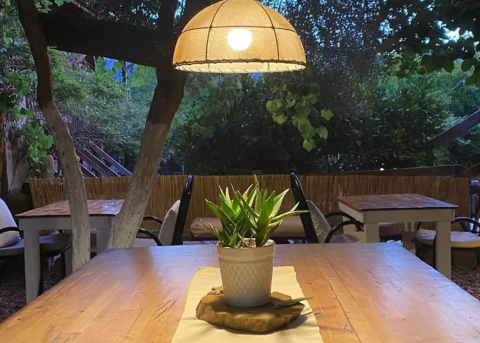 Bed & Breakfast Baykus